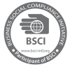 bsci-audit-services-in-india-500x500